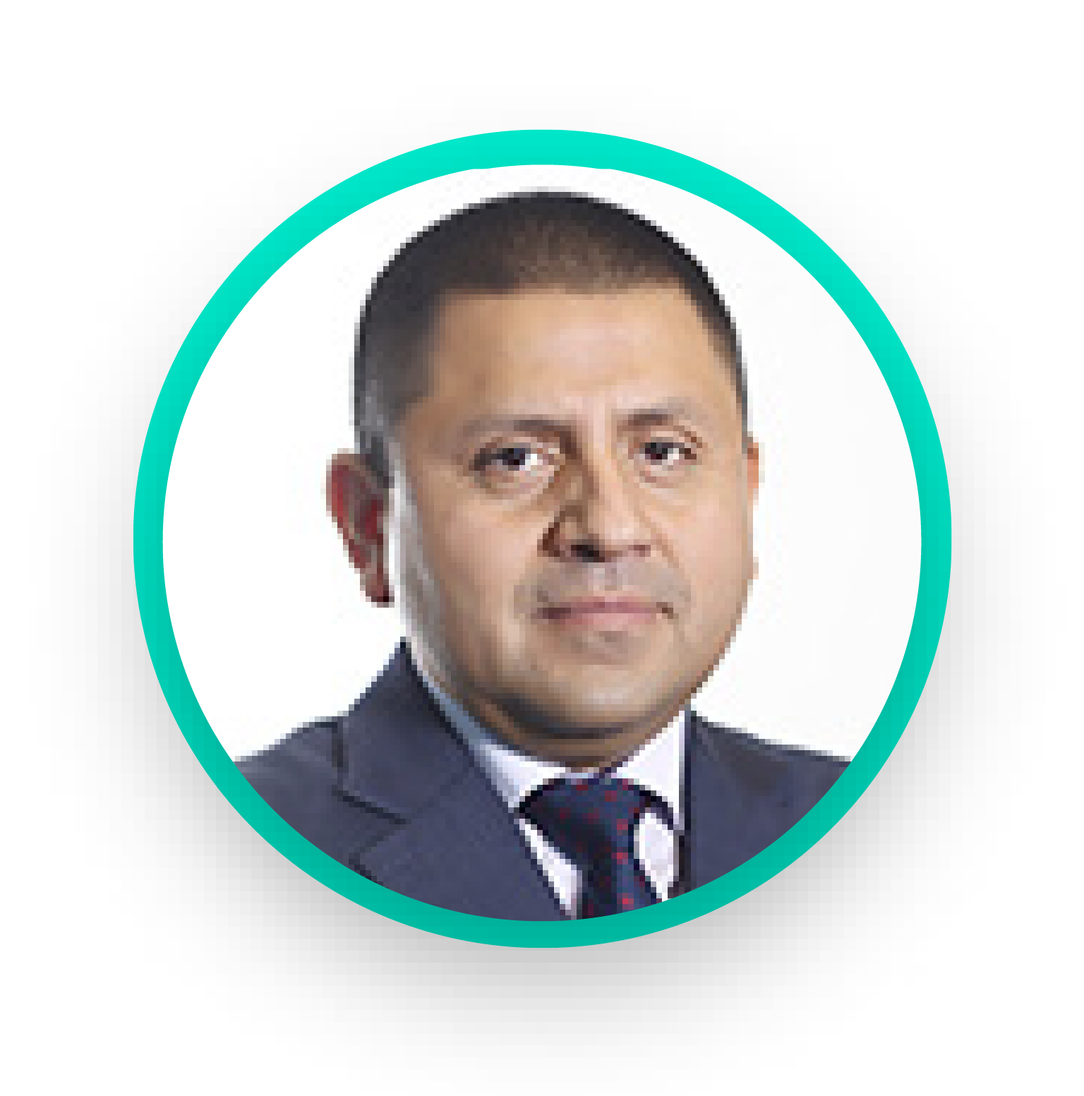 Descripción de la imagen